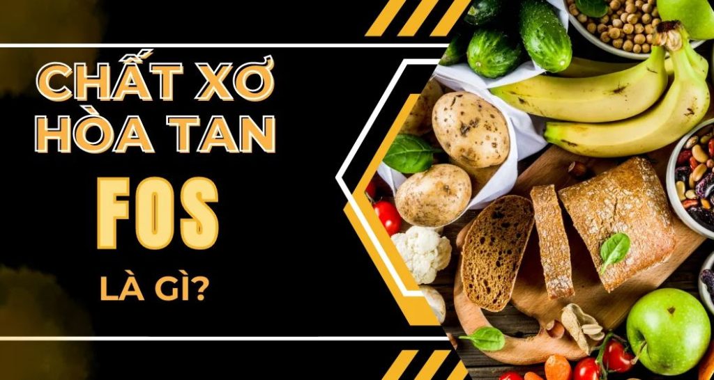 Chất xơ hòa tan FOS là gì?