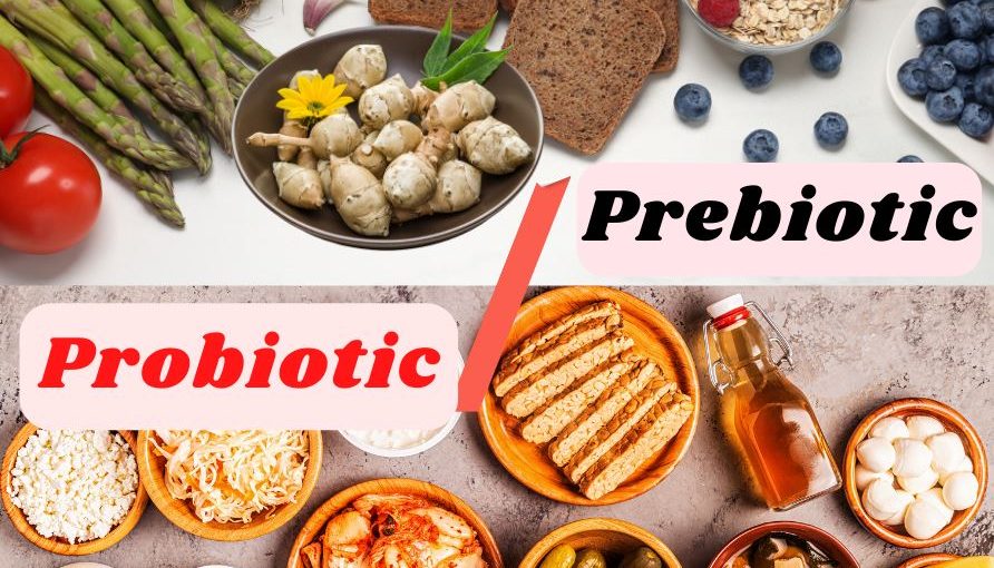 Probiotic và Prebiotic