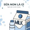 sữa non là gì