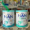 Nan nga và Nan việt