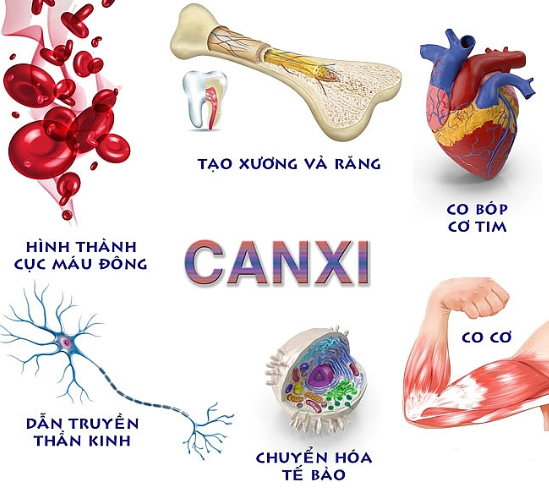 Canxi là gì?