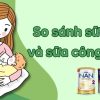 so sánh sữa mẹ và sữa công thức