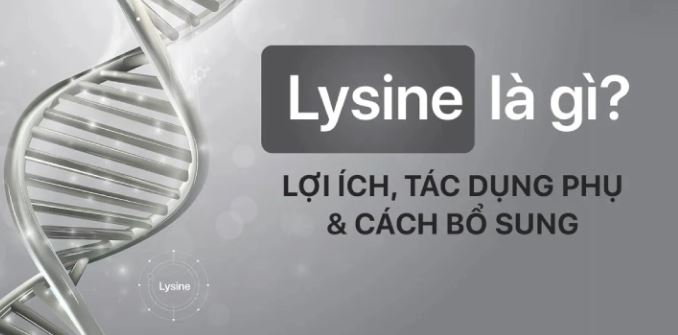 Lysine là gì?