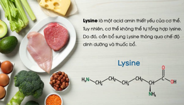 Lysine là gì?